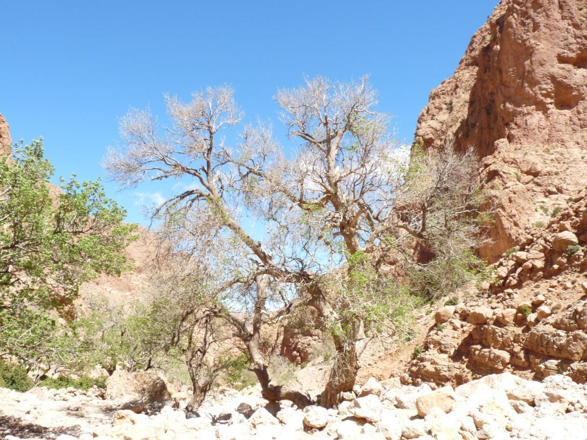 Les Jardins De Todgha Gorges De Todra Tinghir 호텔 Aït Baha 외부 사진